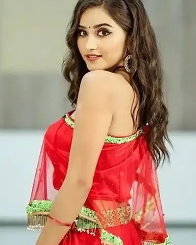 Escort In Himayatnagar